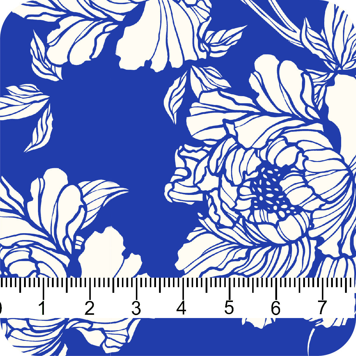 MYP483 C1 PERI-WHT