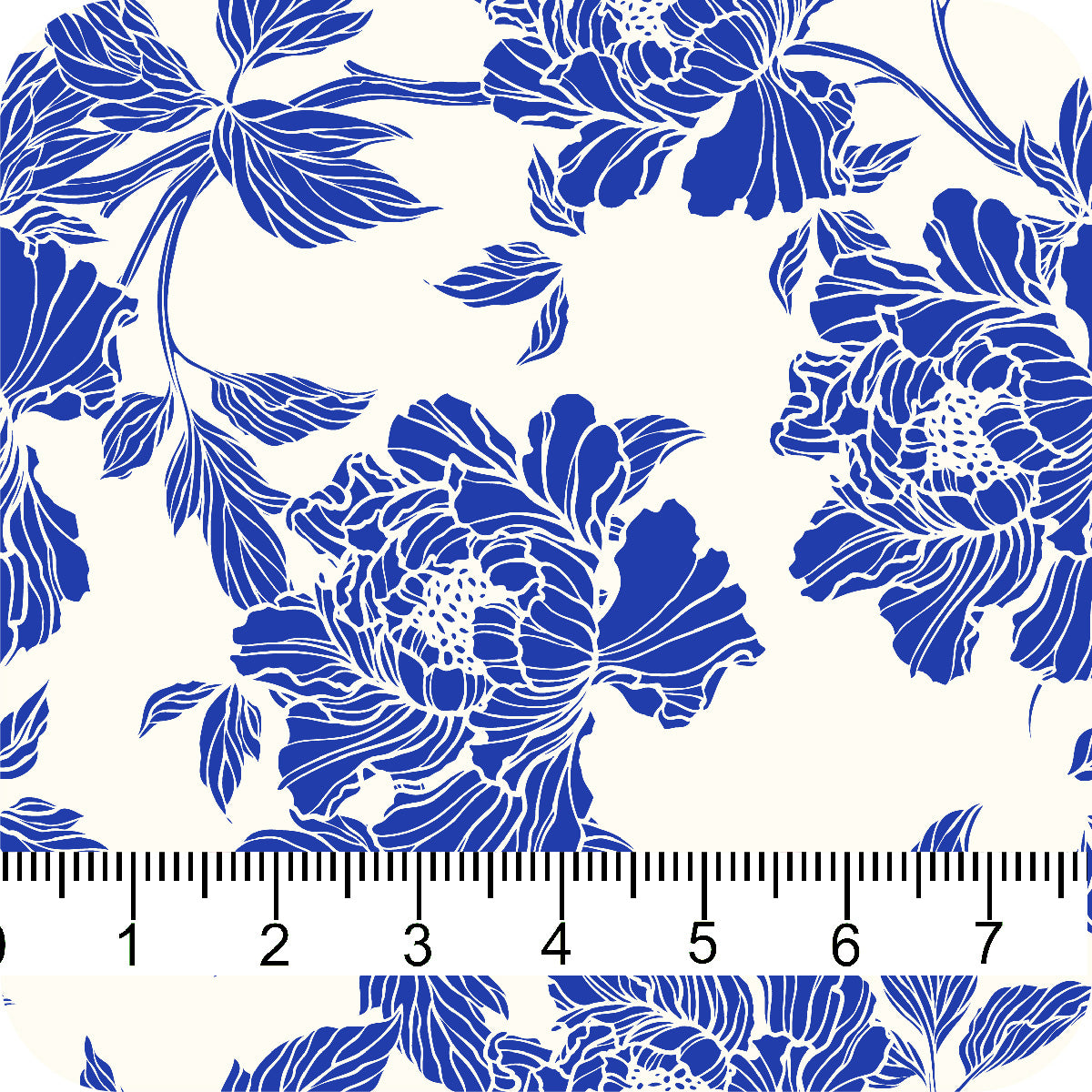 MYP483 C2 WHT-PERI