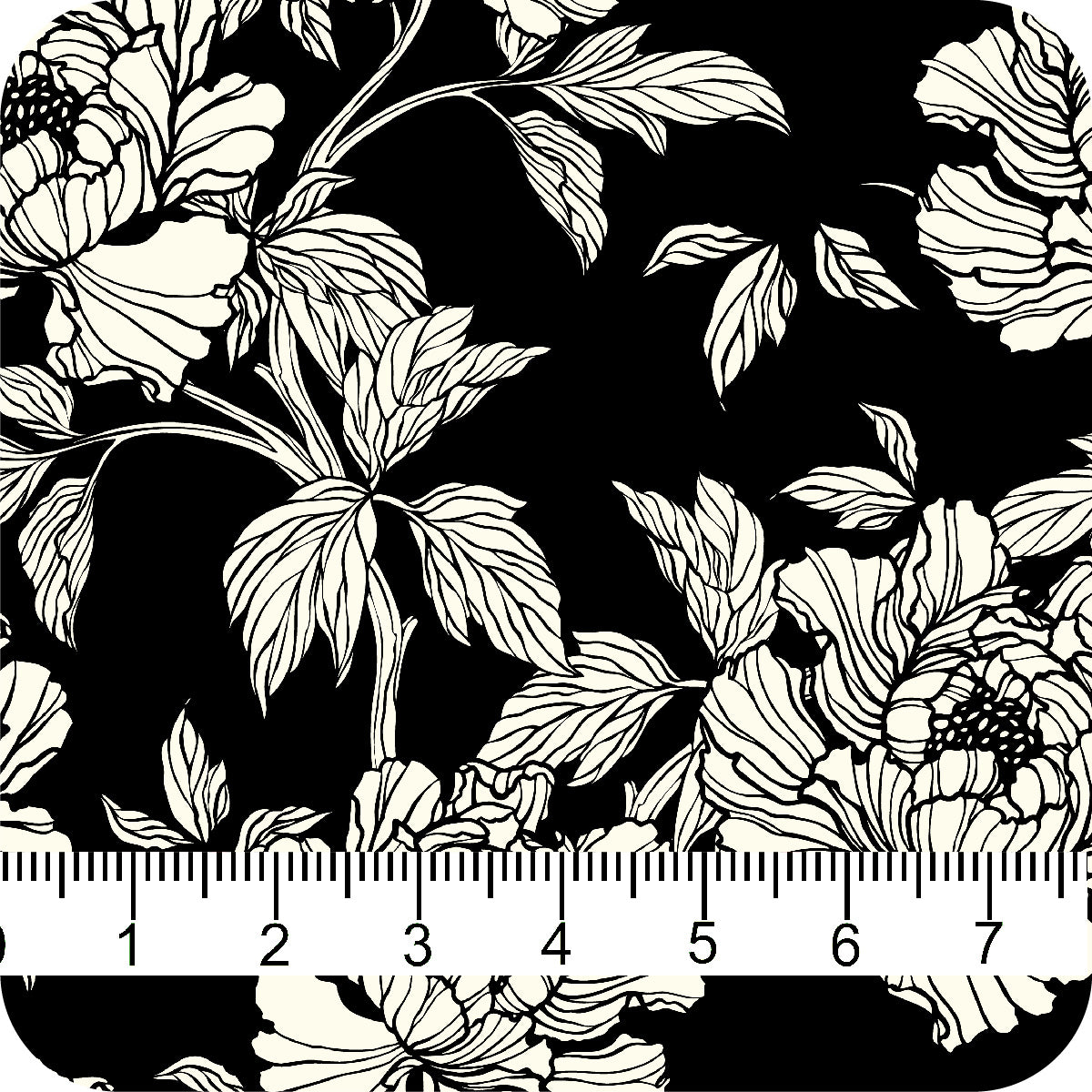 MYP483 C3 BLACK-IVORY