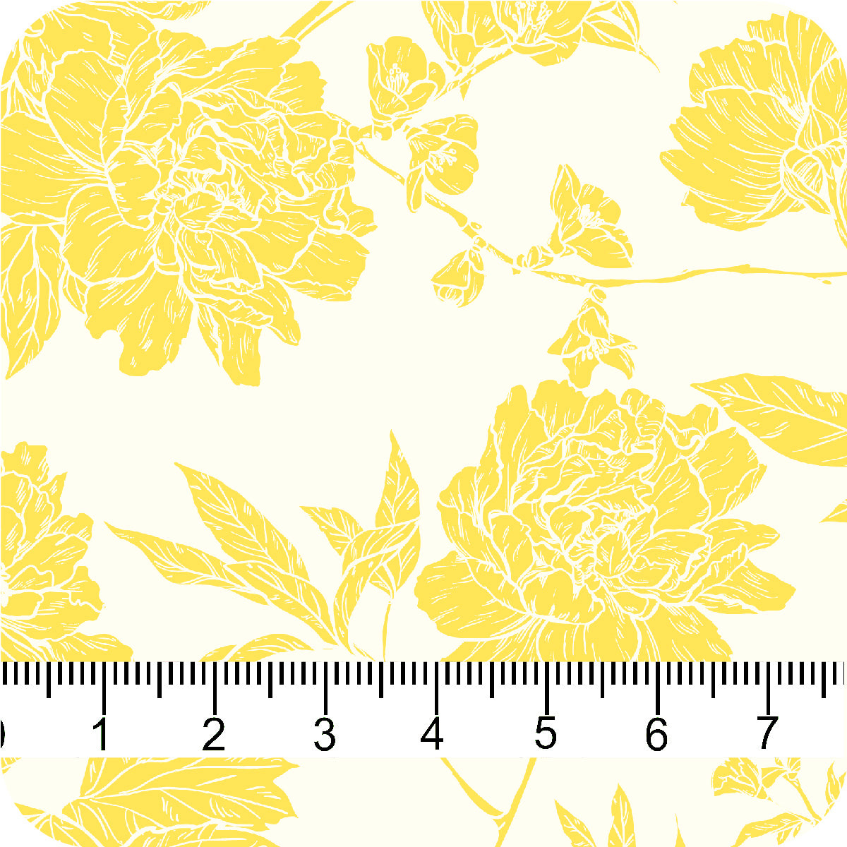 MYP484 C1 CREAM-GOLD