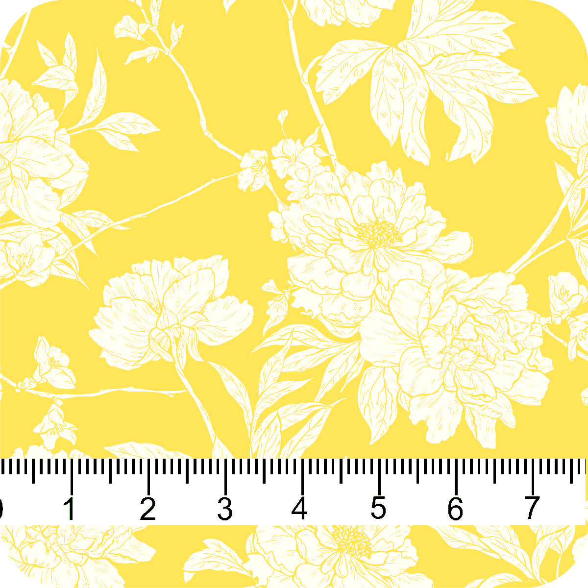 MYP484 GOLD-CREAM