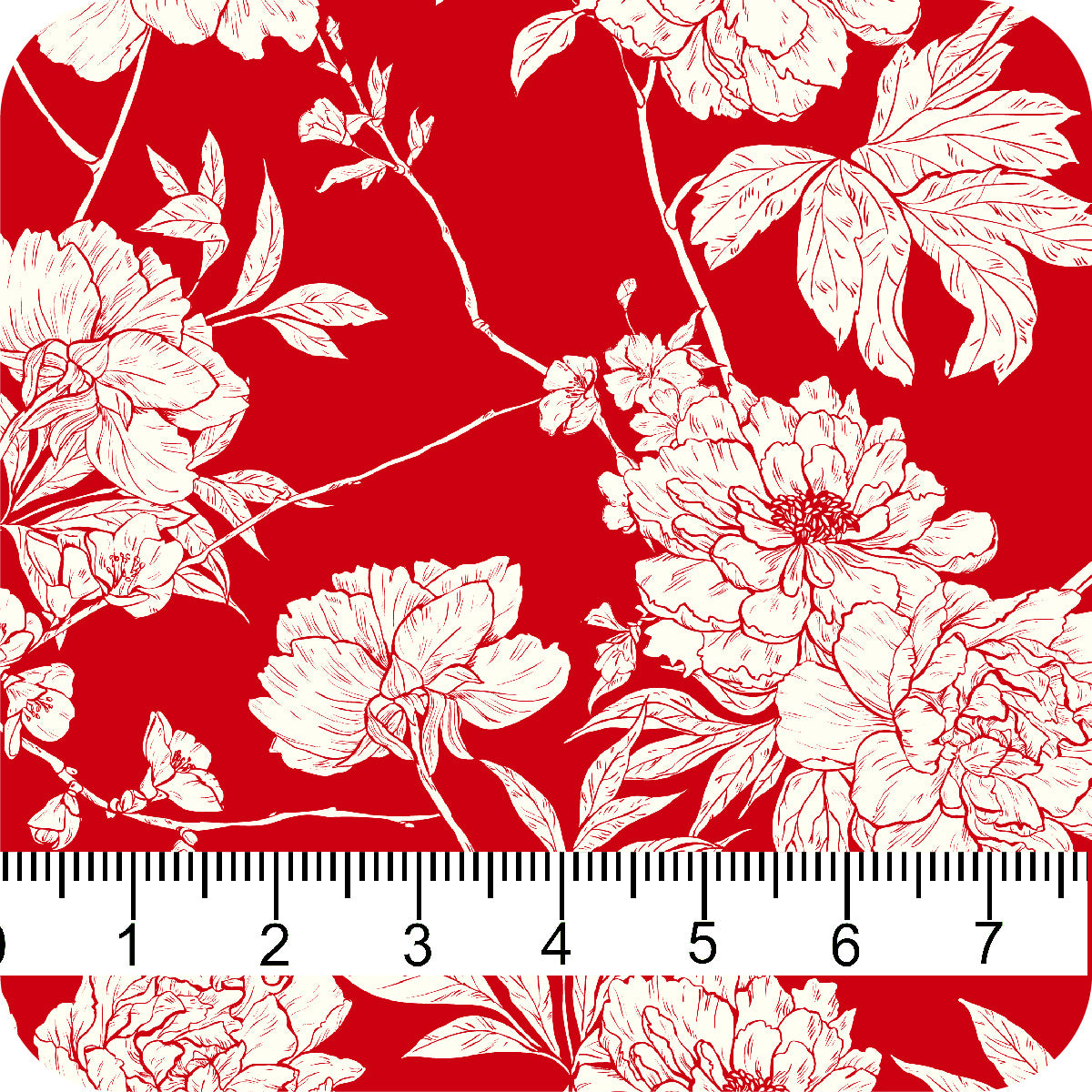MYP484 C4 RUBY-CREAM