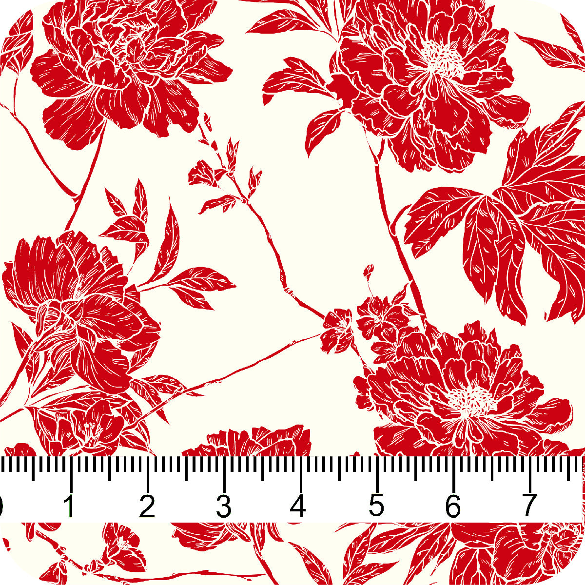 MYP484 C3 CREAM-RUBY