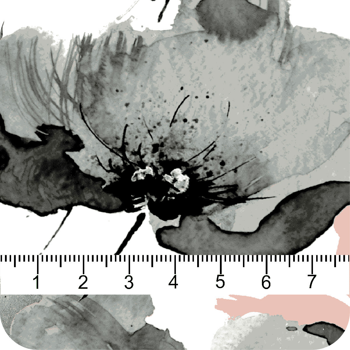 MYP486 C1 SNOW-BLUSH
