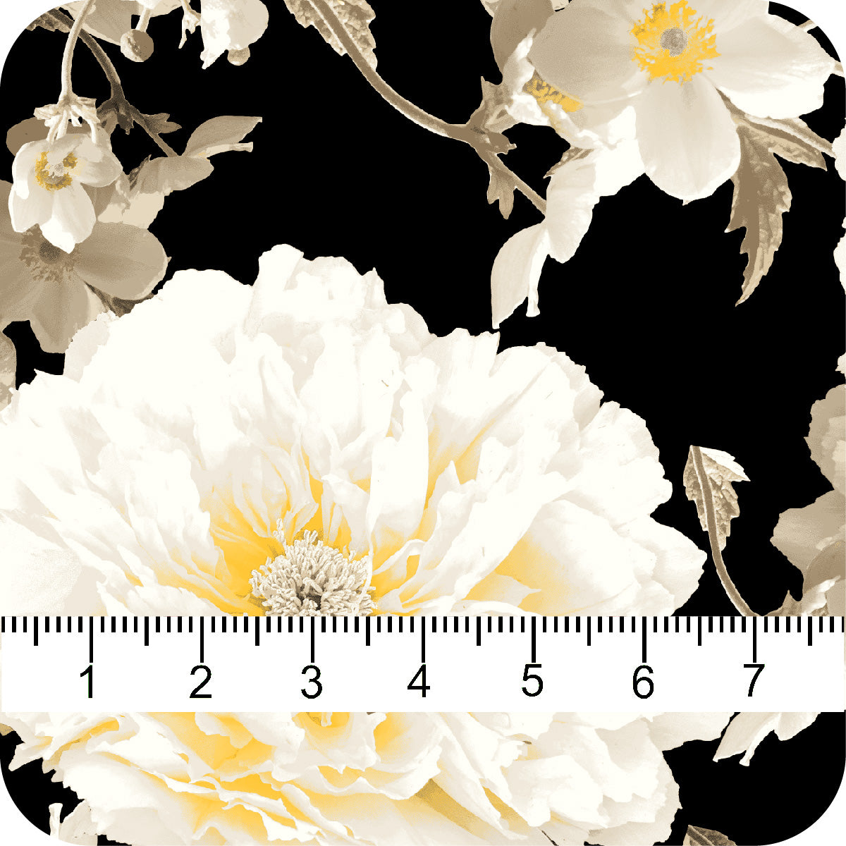 MYP492 C1 BLK-GOLD