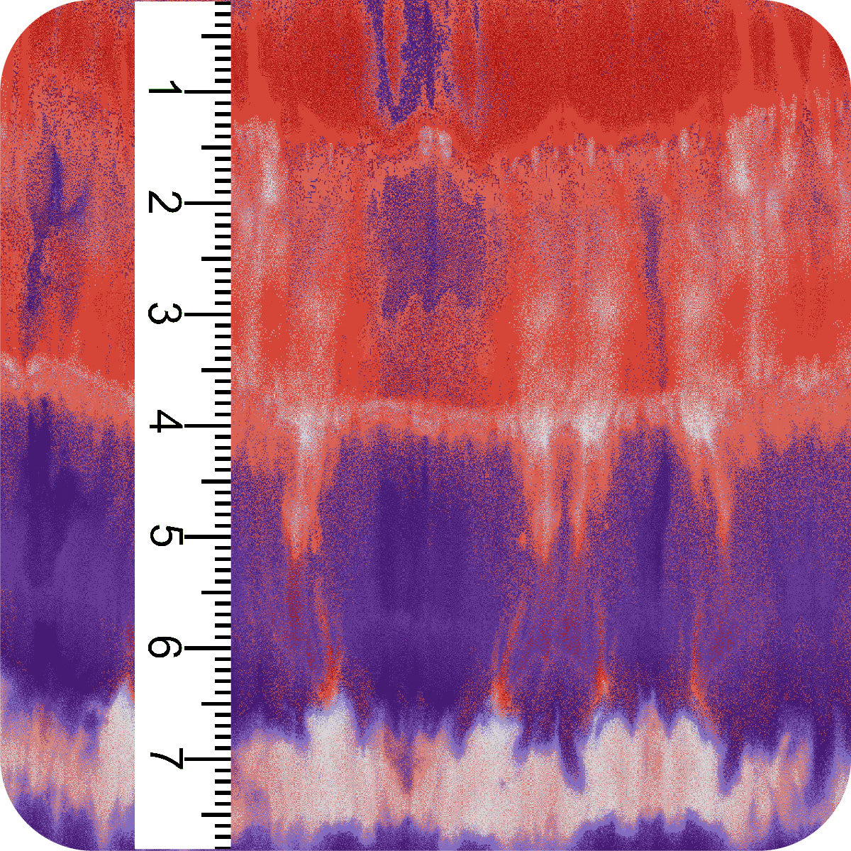 MYP497 C2 RED-PURPLE