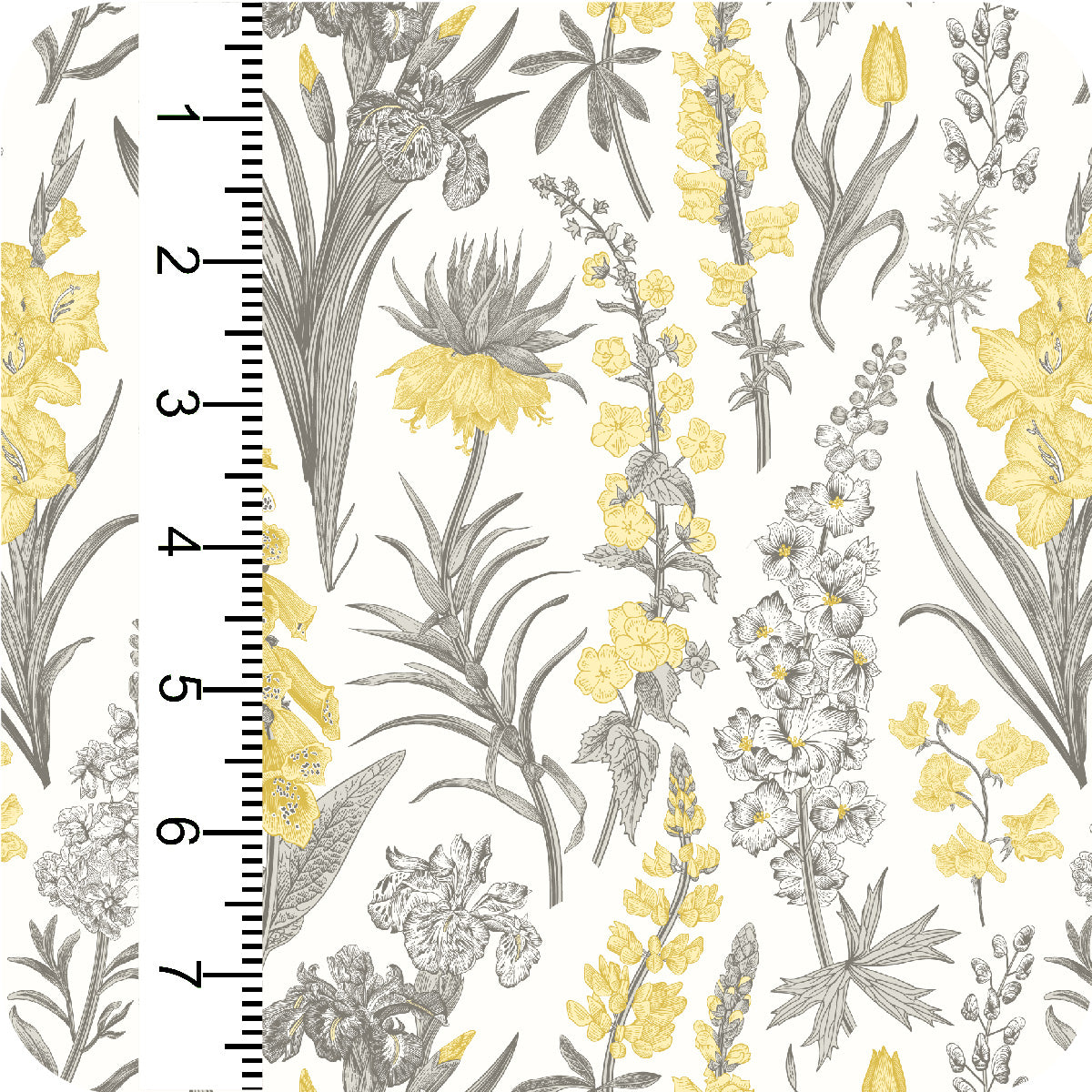 MYP503 C1 CREAM-LEMON