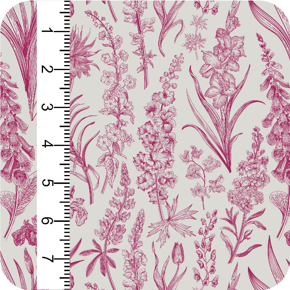MYP503 C2 DOVE-MAGENTA