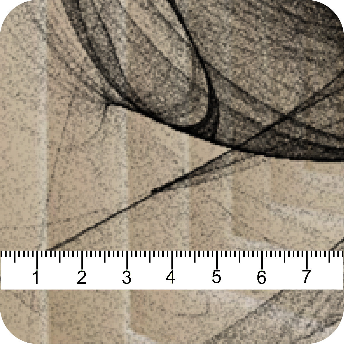MYP513 C1 BLACK-STONE