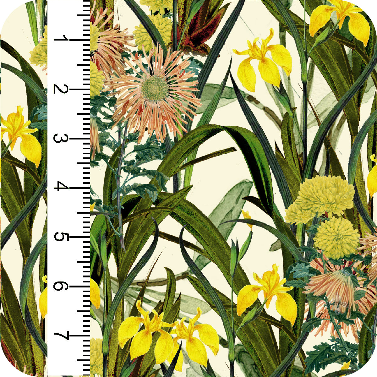 MYP535 C1 PALE YELLOW-GOLD