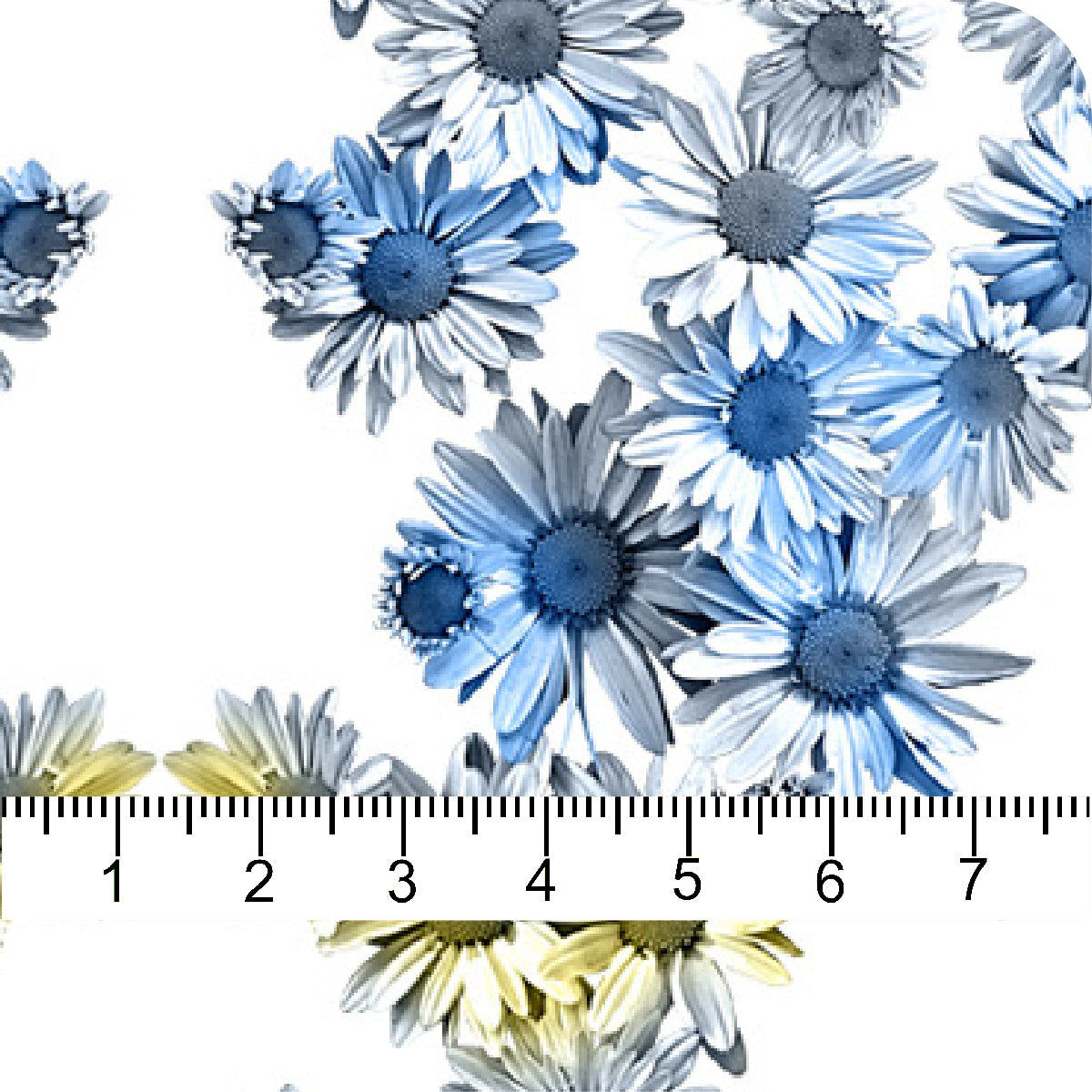 MYP665 SNOW-PALE BLUE