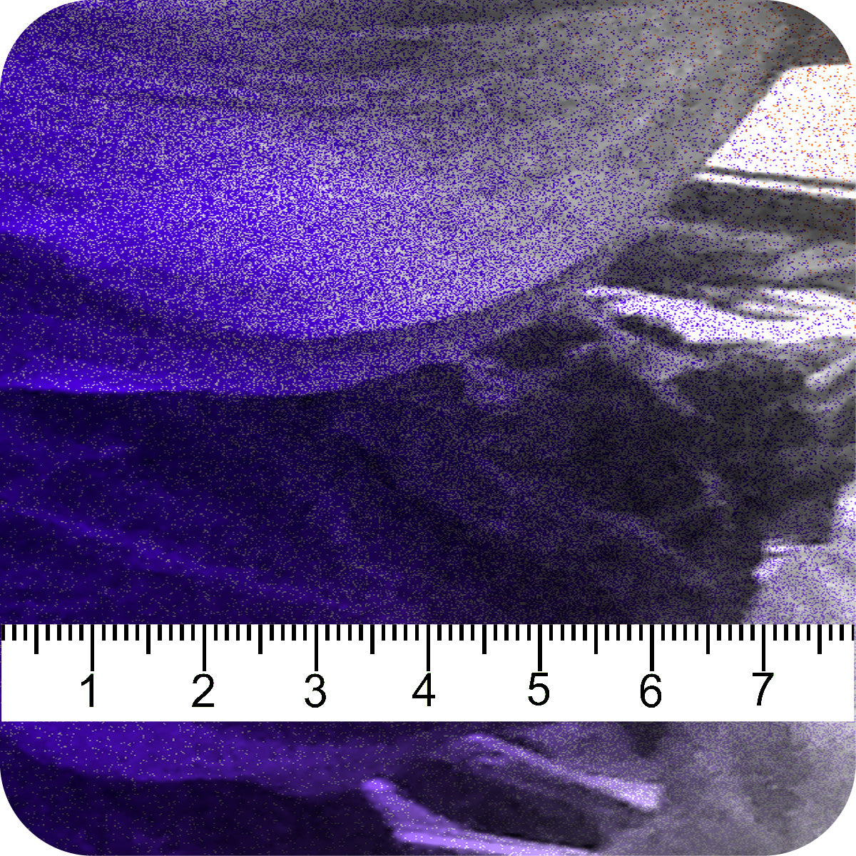 MYP695 C1 PURPLE-TEAL