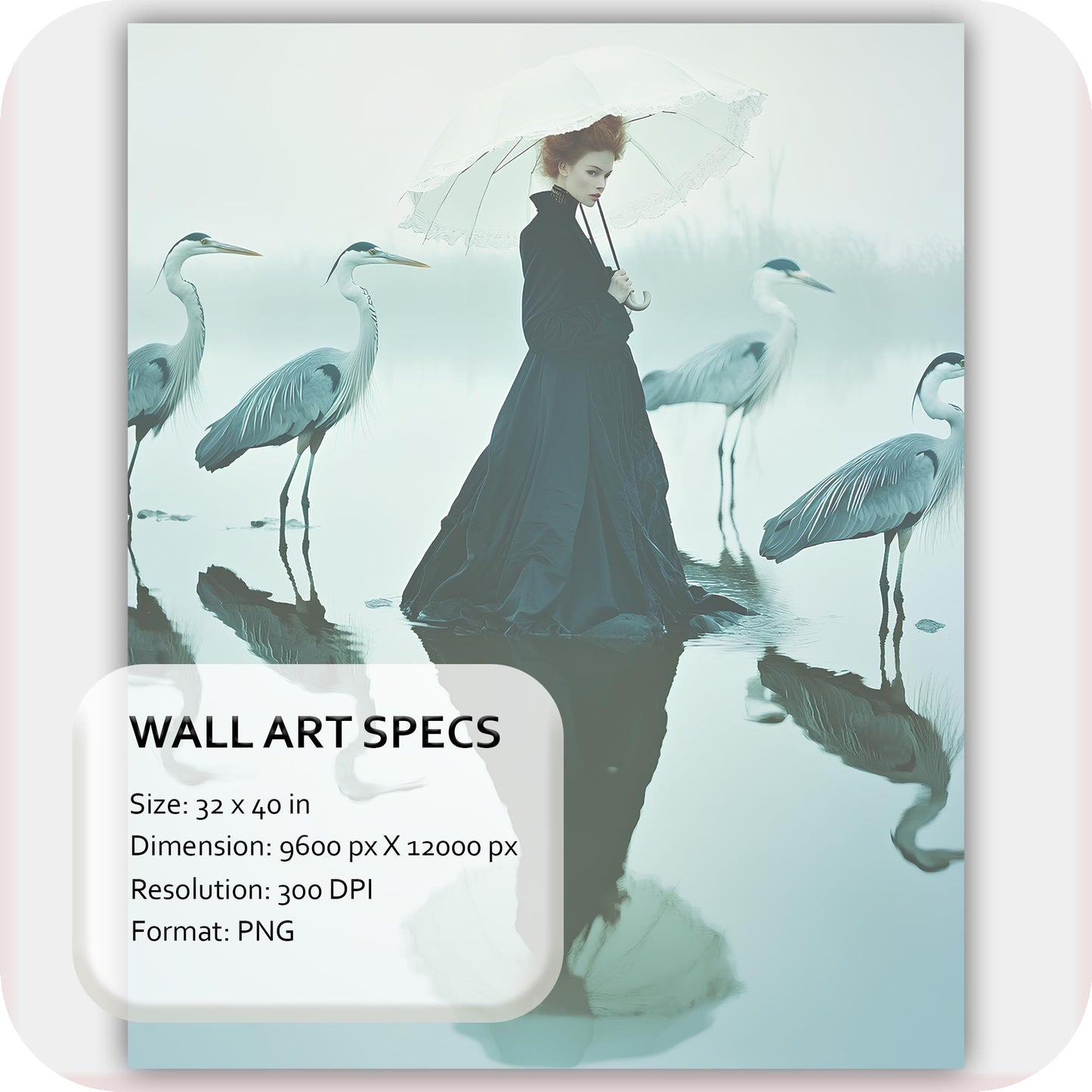 Reflections Of Grace