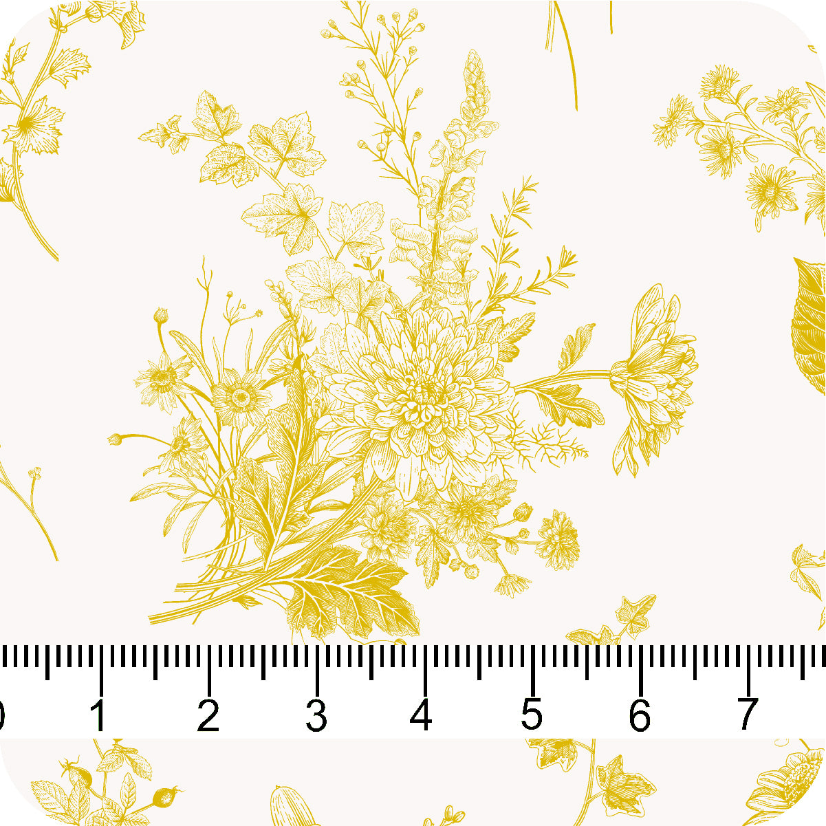 MYP172 C4 IVRY-MARIGOLD - MY Prints Inc.