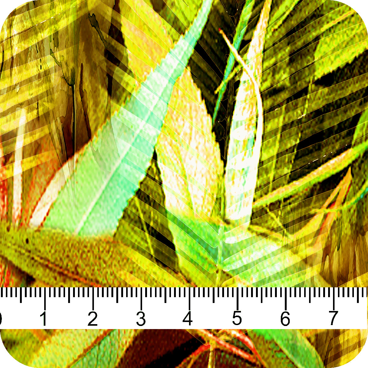 MYP201 C4 LIME-GOLD - MY Prints Inc.