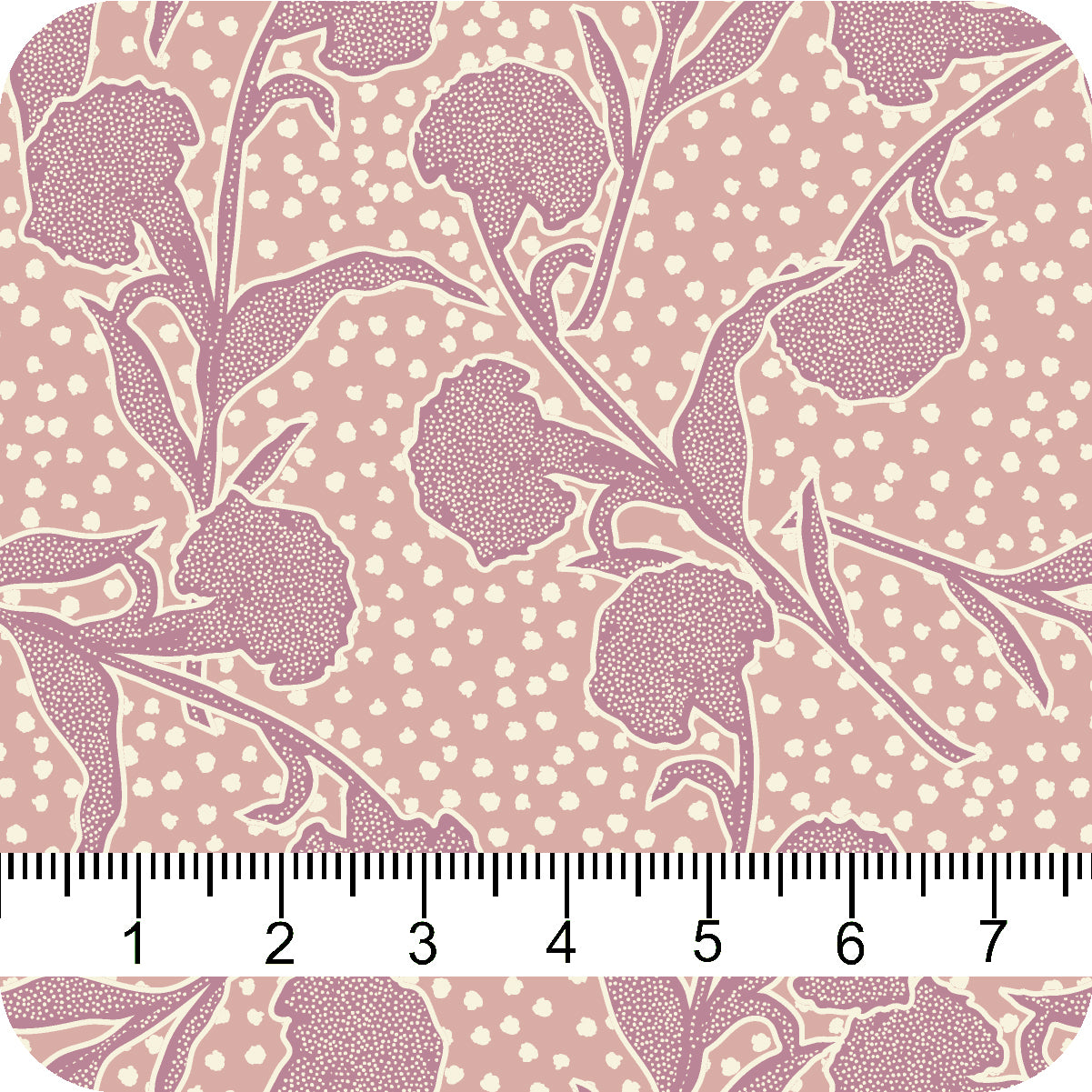 MYP203 C3 BLUSH-CREAM - MY Prints Inc.
