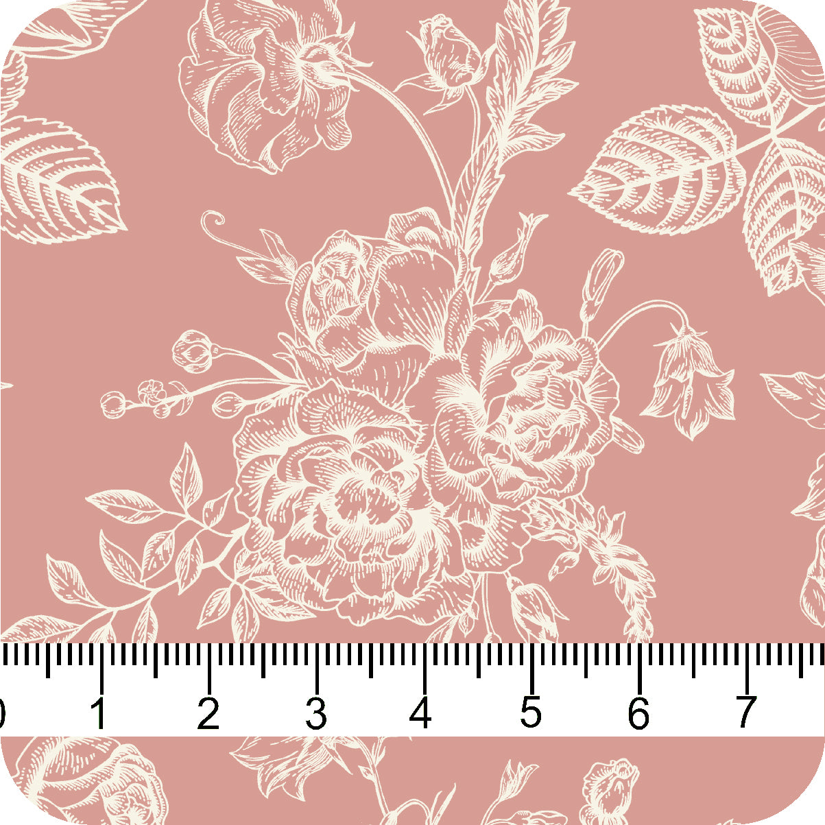 MYP226 C6 BLUSH-CREAM - MY Prints Inc.