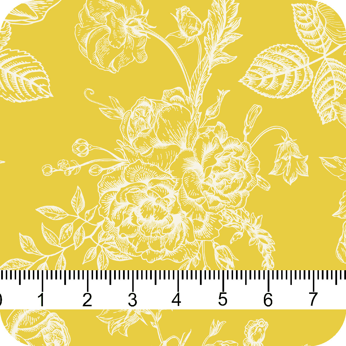 MYP226 C8 MARIGOLD-CREAM - MY Prints Inc.