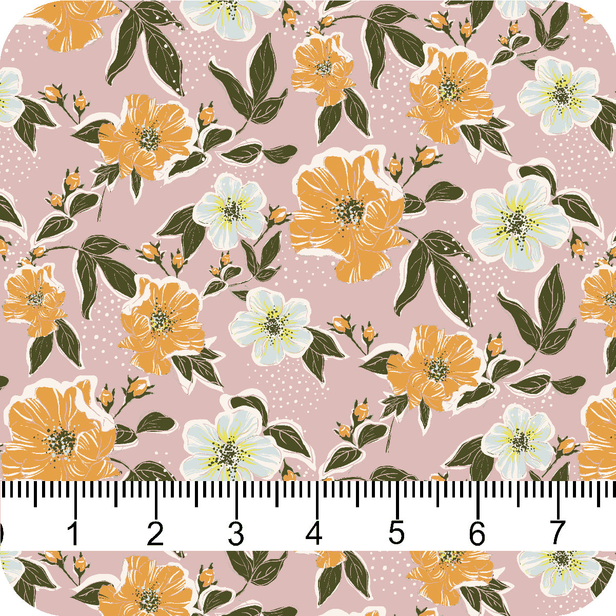 MYP350 C6 BLUSH-APRICOT - MY Prints Inc.