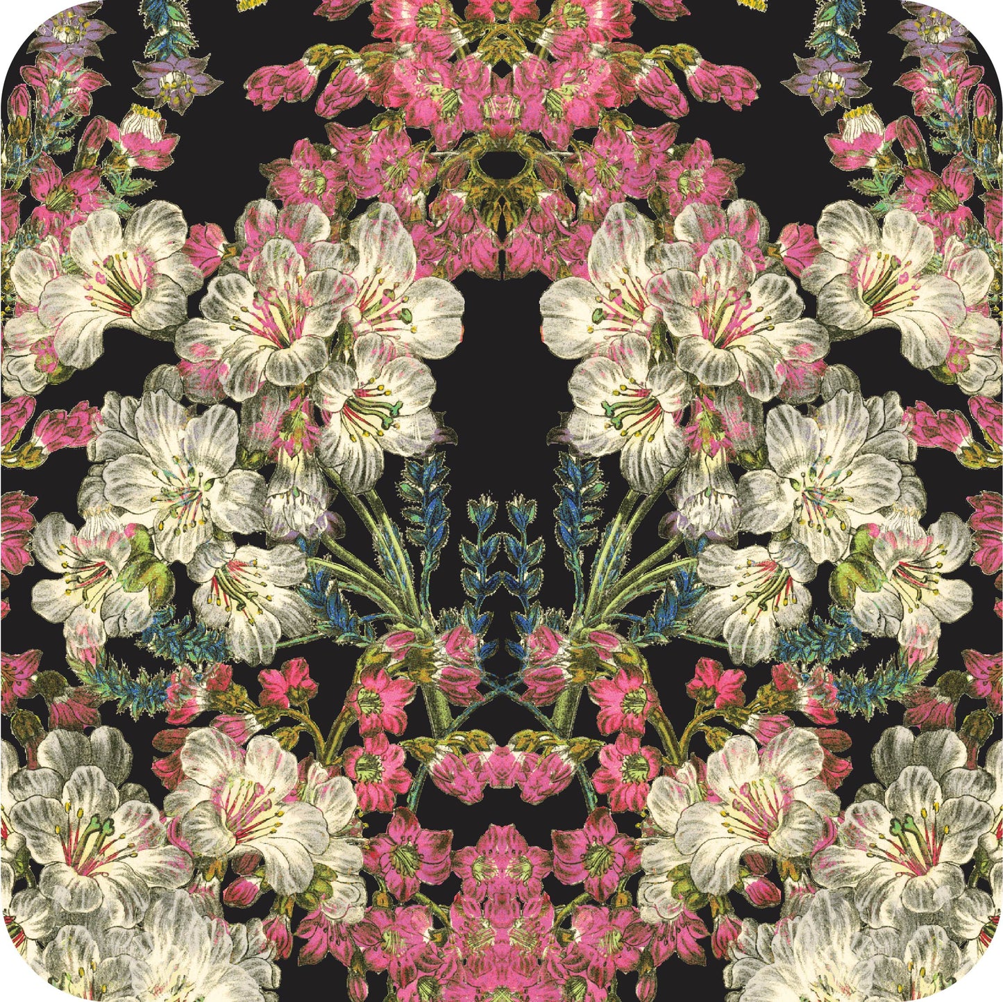 MYP412 C1 BLACK-CHERRY - MY Prints Inc.