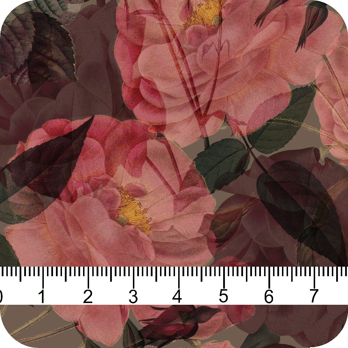MYP414 C1 MOCHA-CORAL - MY Prints Inc.