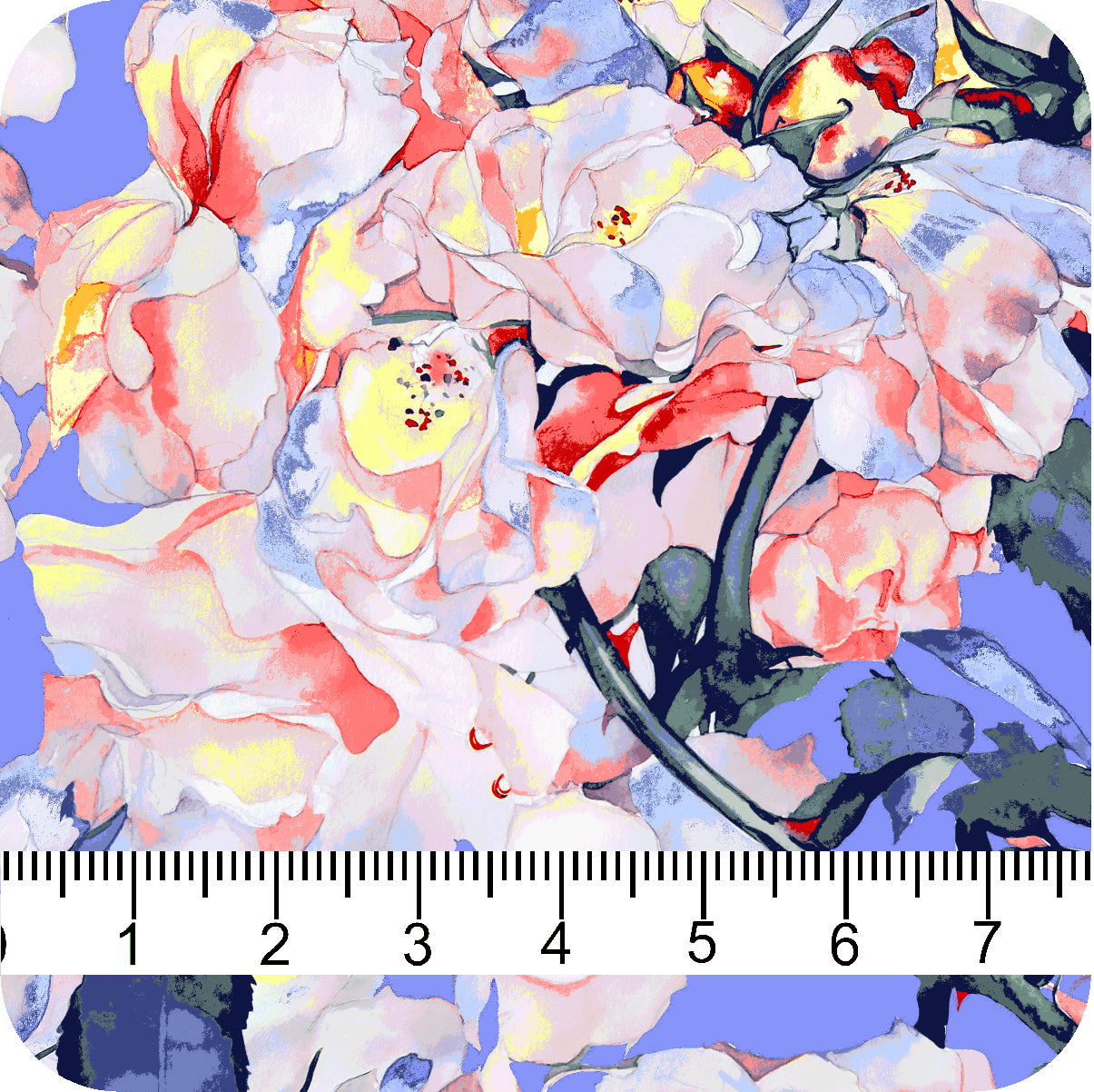 MYP428 C3 SLATE-CORAL - MY Prints Inc.