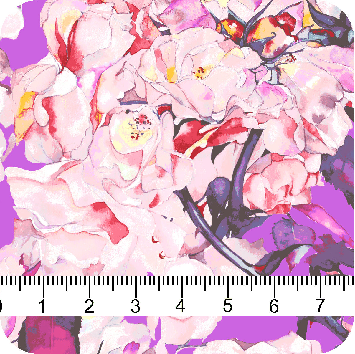 MYP428 C4 AZALEA-BLUSH - MY Prints Inc.