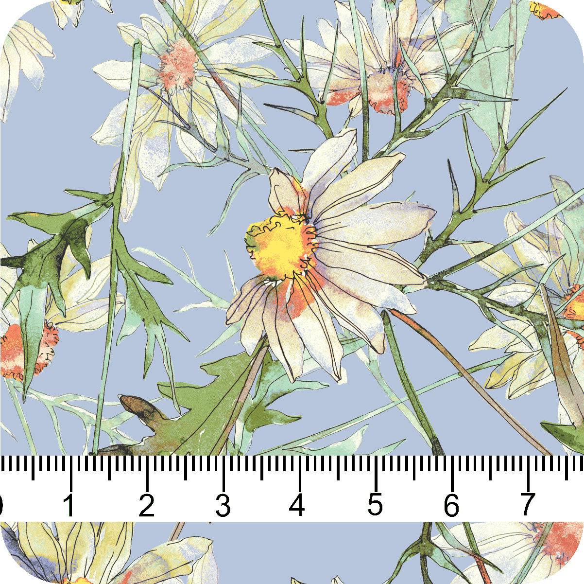 MYP439 C1 SKY BLUE-YELLOW - MY Prints Inc.