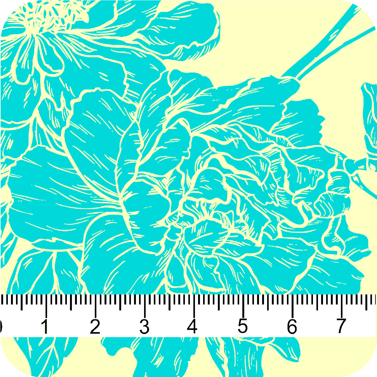 MYP440 C2 CITRON-JADE - MY Prints Inc.