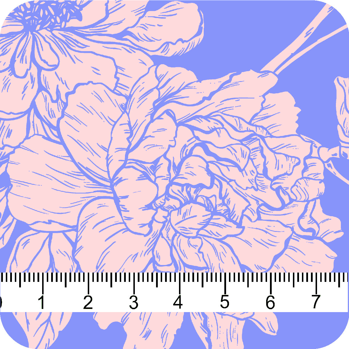 MYP440 C7 SLATE-BLUSH - MY Prints Inc.