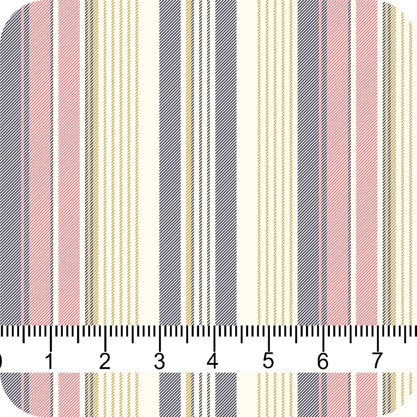 MYP540 C3 DENIM-PINK