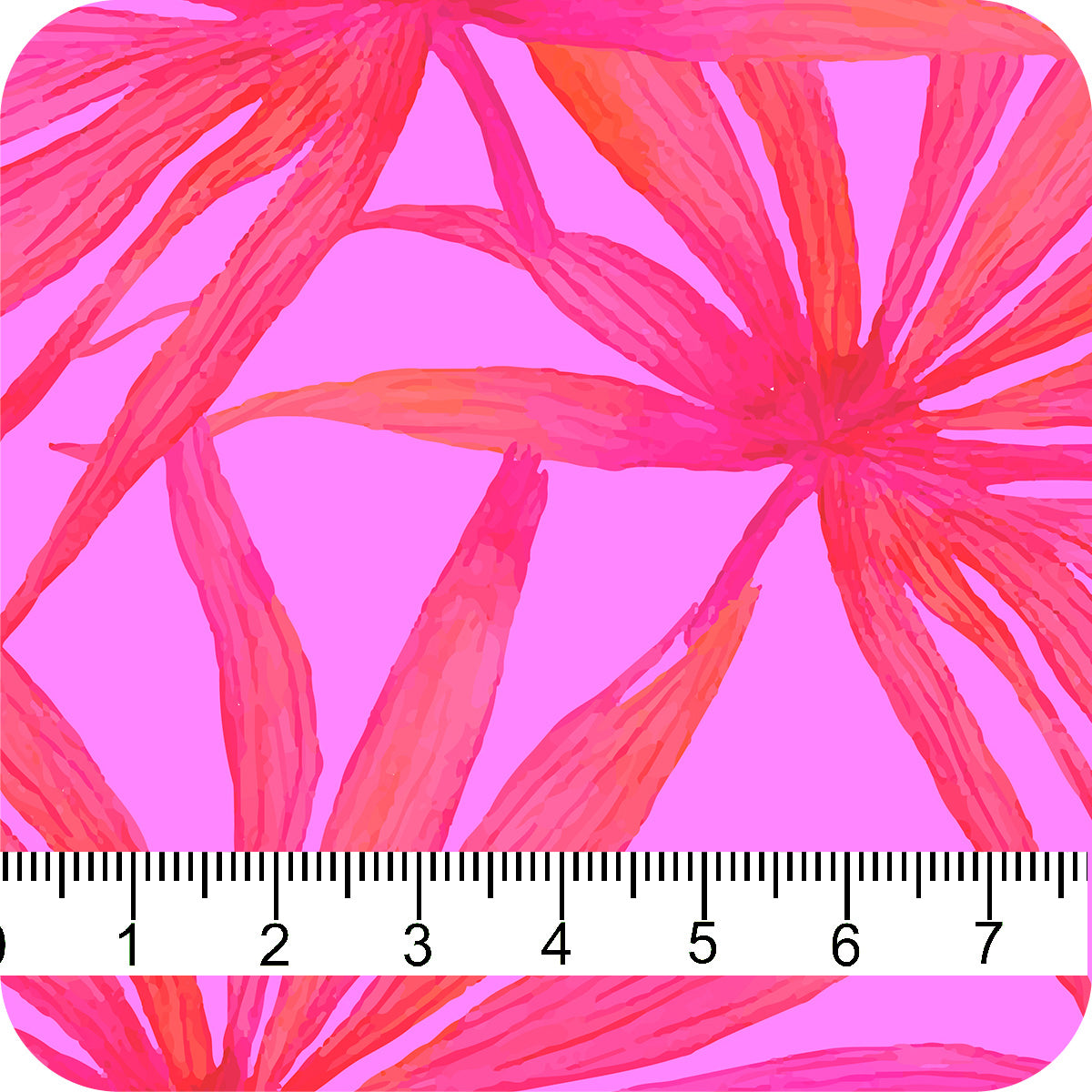 MYP635 C1 HOT PINK-CRIMSON