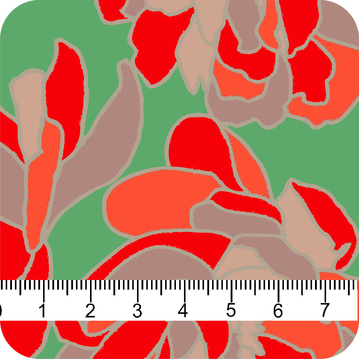 MYP636 C1 DK SAGE-RED