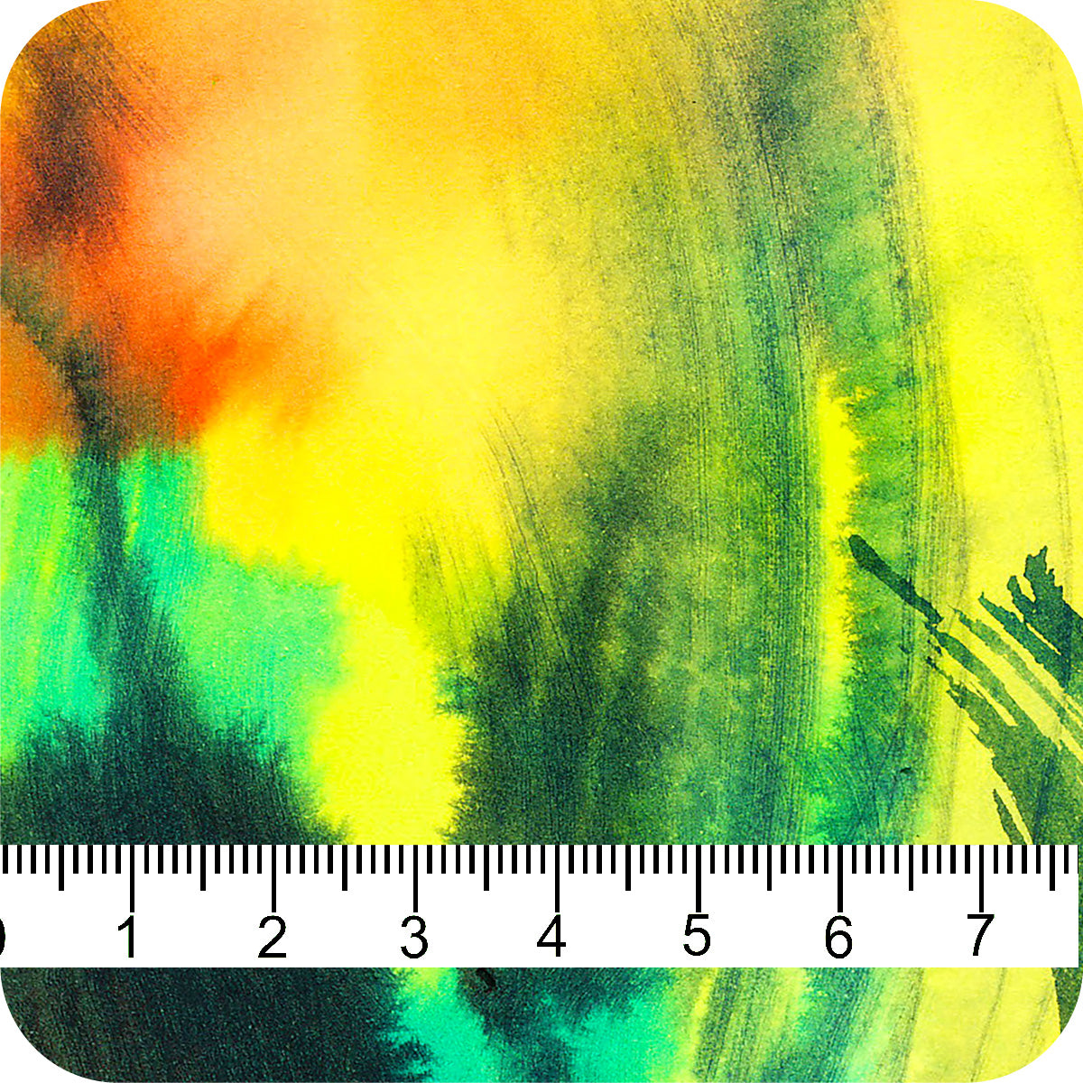 MYP640 C1 CITRON-TEAL