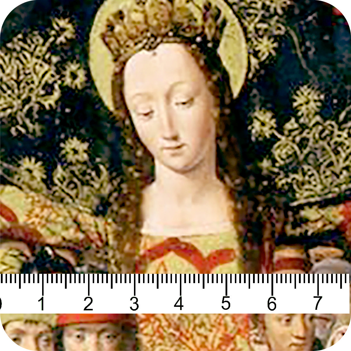 MYP812 C1 OLIVE-RED (DIVINITY)