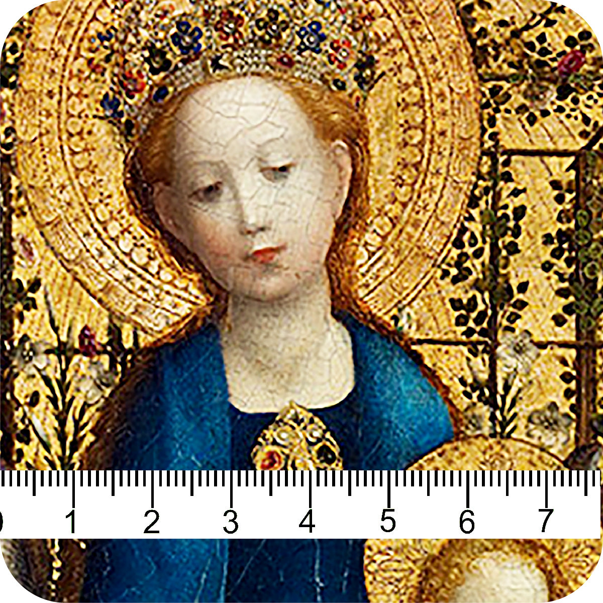 MYP819 C1 COLBALT-GOLD (DIVINITY)