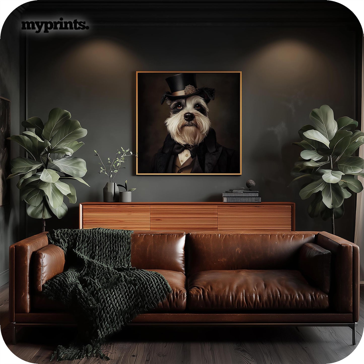 Dapper Dog Schnauzer