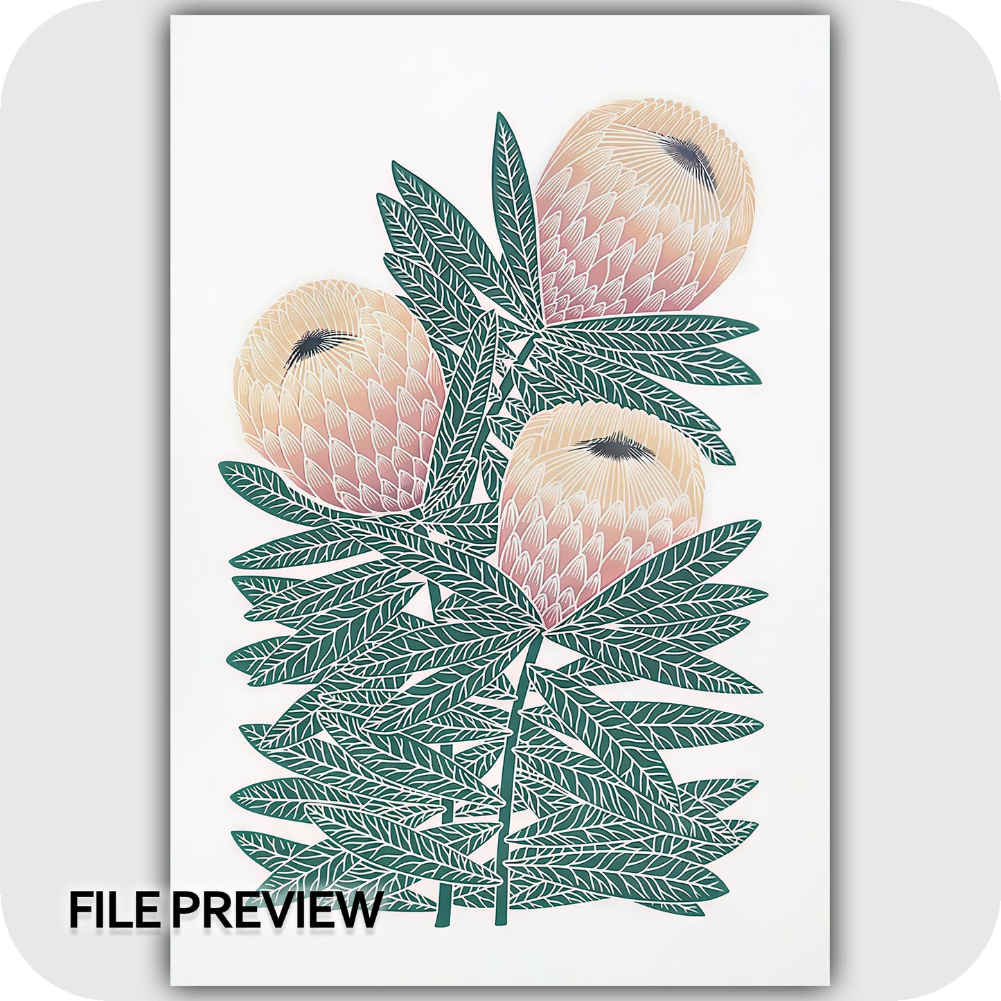 Protea Grace