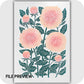 Peach Dahlia