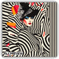 Striped Avant Muse