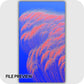 Silk Current