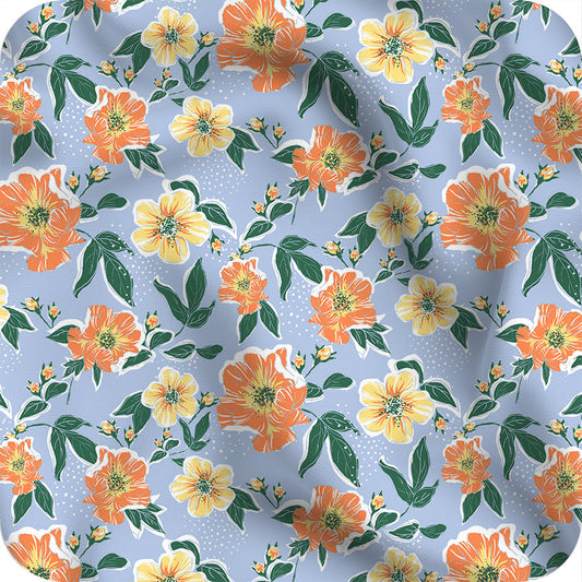 MYP350 C4 SKY-TANGERINE