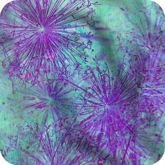 MYP516 C1 AQUA-MAGENTA