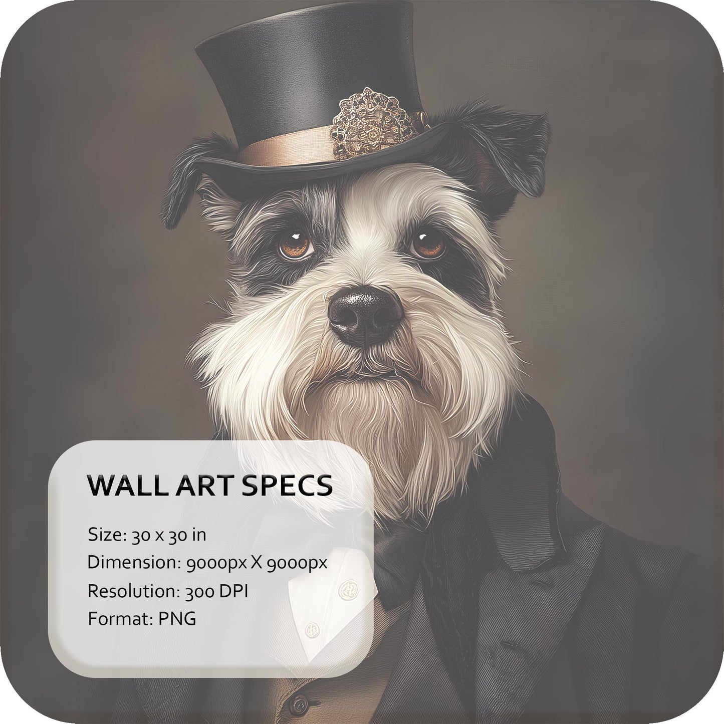 Dapper Dog Schnauzer