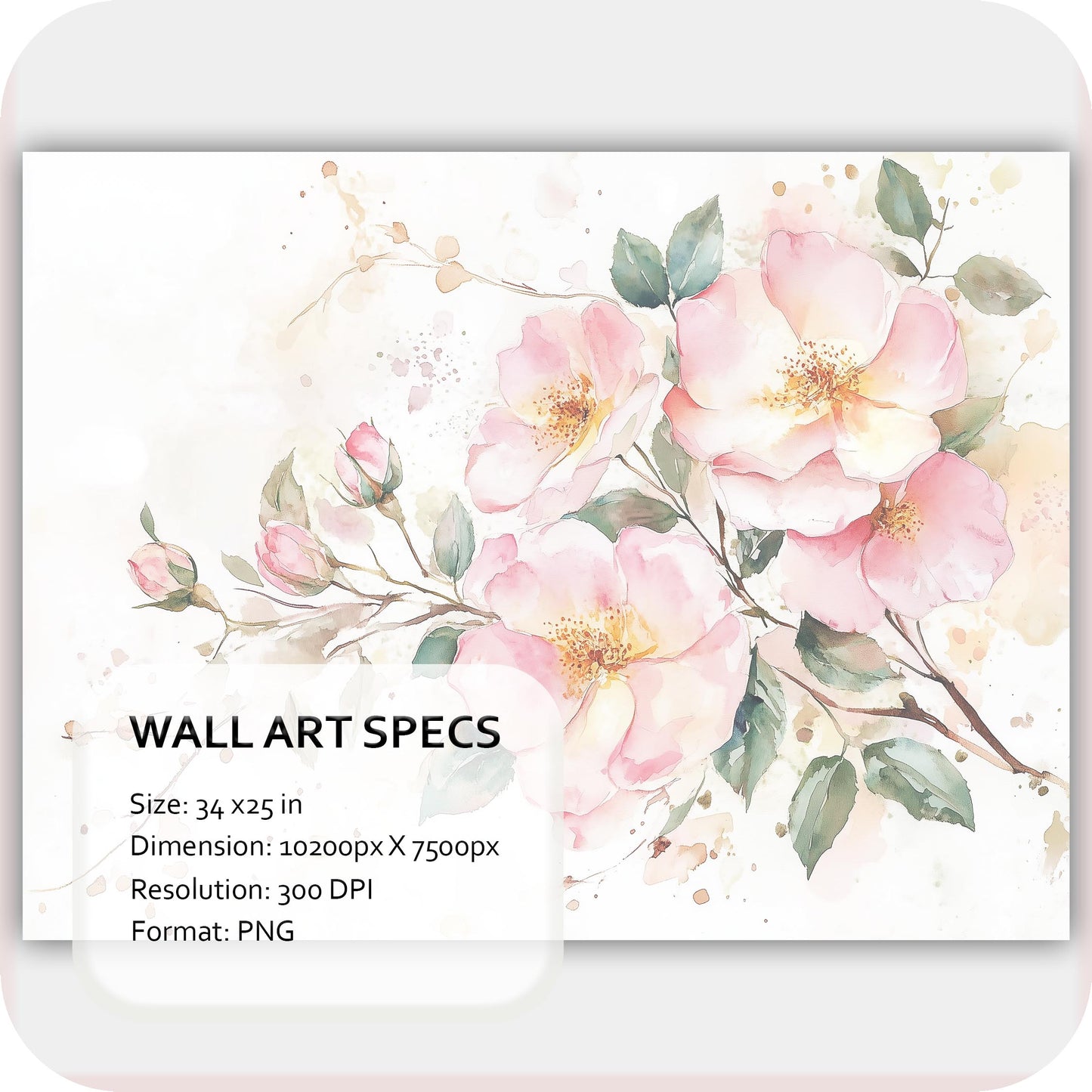 Rosewater Veil