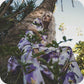 MYP488 C1 SNOW-LAVENDER