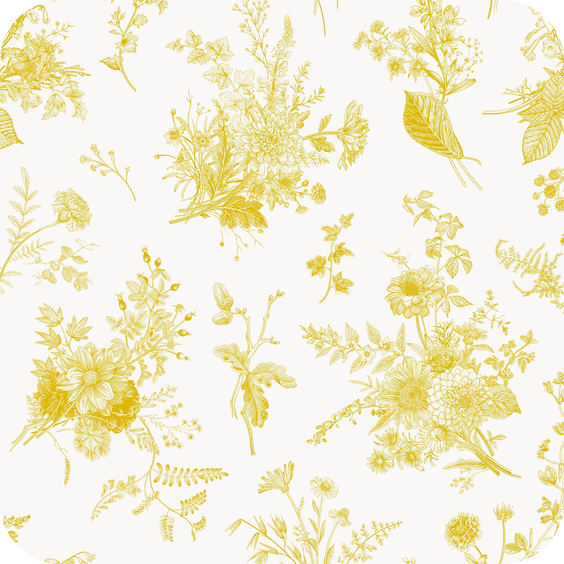 MYP172 C4 IVRY-MARIGOLD - MY Prints Inc.