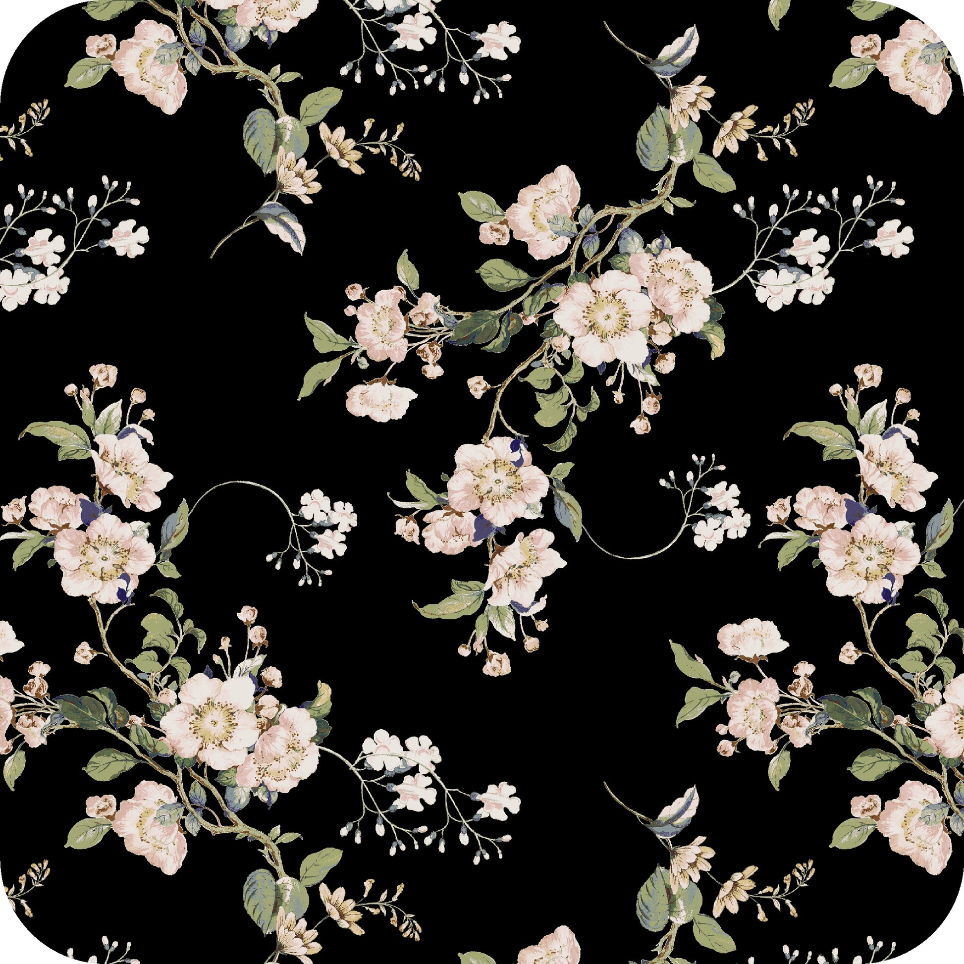 MYP206 C3 BLACK-ROSE - MY Prints Inc.