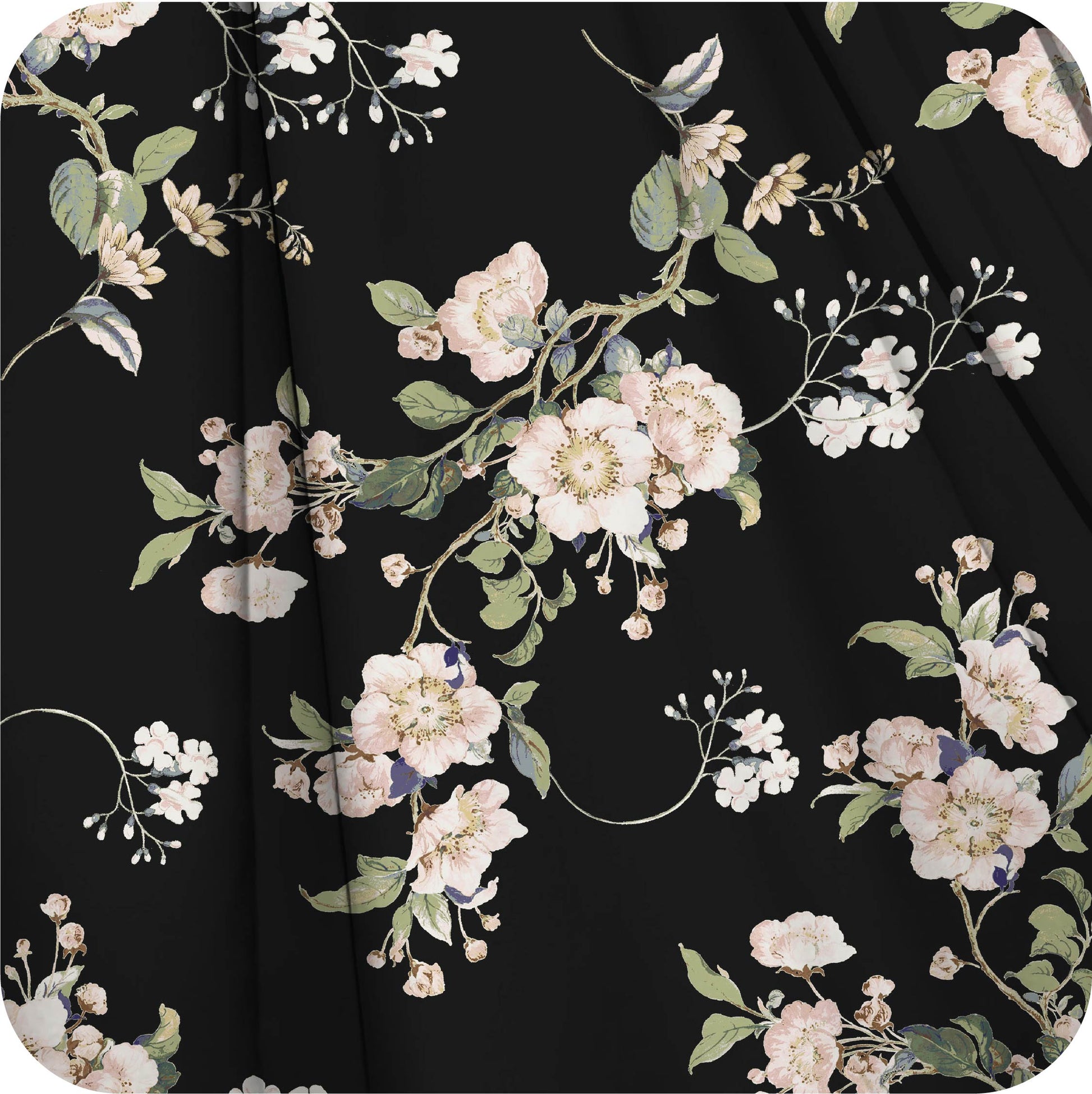 MYP206 C3 BLACK-ROSE - MY Prints Inc.