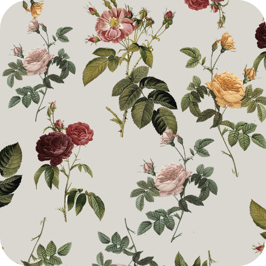 MYP207 C1 ANTIQUE GREY-BLUSH - MY Prints Inc.